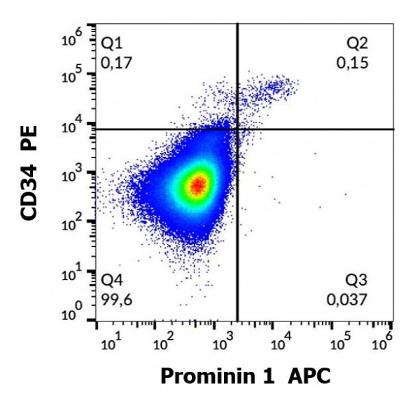Anti-Prominin 1 (APC), clone 293C3