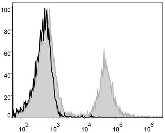Anti-Mouse CD4 (PE Conjugated)[GK1.5], clone GK1.5