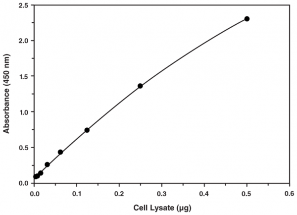 SREBP-1 Transcription Factor Assay Kit
