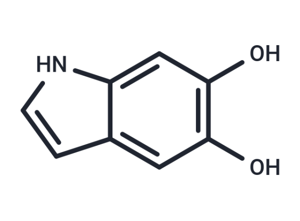 5,6-Dihydroxyindole