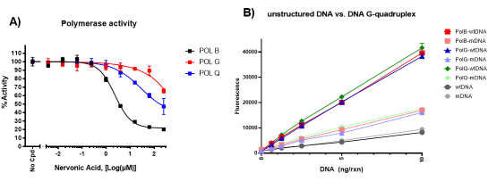 DNA Polymerase gamma Assay Kit
