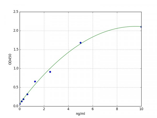 Human Connexin 43 / GJA1 ELISA Kit