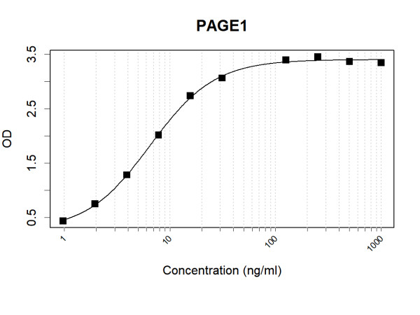 Anti-Human PAGE1 Antibody Pair