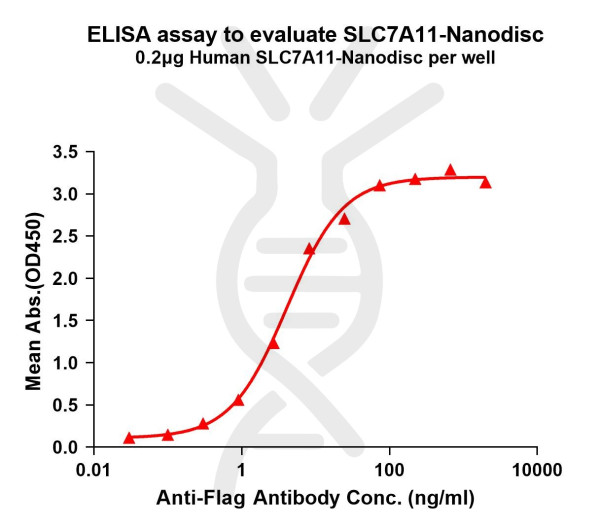 SLC7A11 (human) full length protein-synthetic nanodisc
