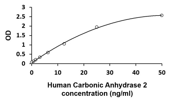 Human CA2 / Carbonic Anhydrase 2 ELISA Kit