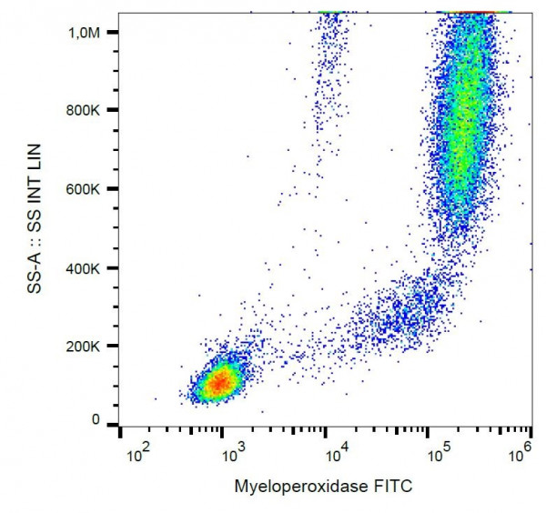 Anti-Myeloperoxidase / MPO, clone MPO421-8B2 (FITC)
