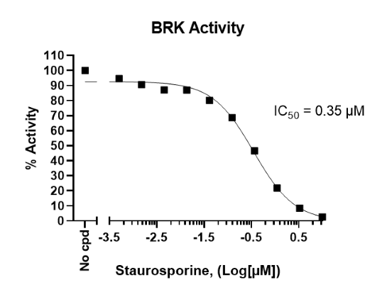 BRK Kinase Assay Kit