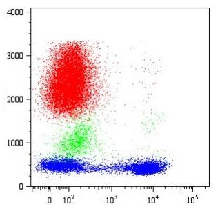 Anti-CD5, clone CRIS1