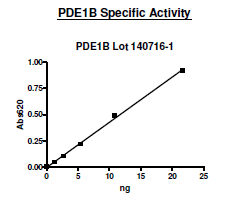 PDE1B, active human recombinant protein
