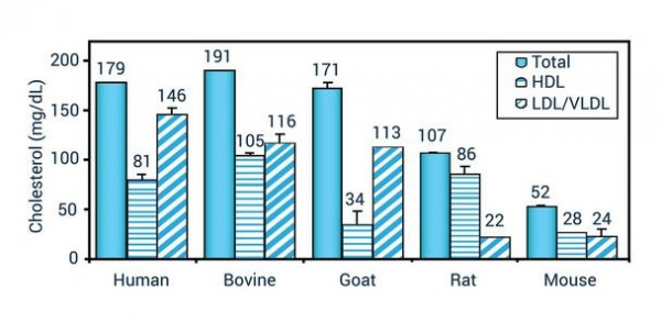 HDL and LDL/VLDL Assay Kit