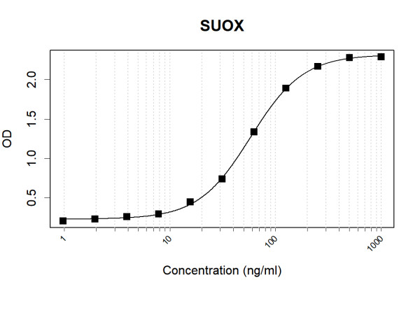 Anti-Human Sulfite oxidase Antibody Pair