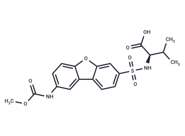 MMP-12 Inhibitor