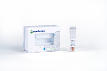 CytoSinct(TM) Streptavidin Nanobeads