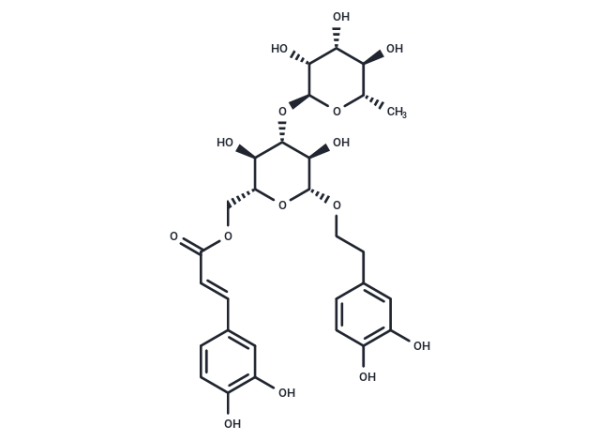 Isoacteoside