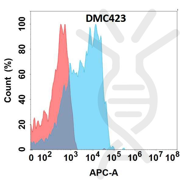 Anti-CD2 antibody(DMC423), IgG1 Chimeric mAb