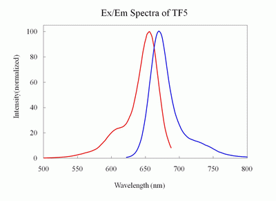 Tide Fluor(TM)5 maleimide (TF5 maleimide) *Superior replacement to Cy5*