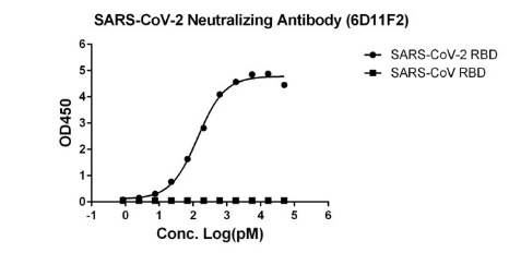 SARS-CoV-2 Neutralizing Antibody (6D11F2), mAb, Mouse