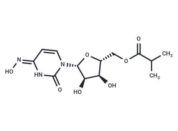 Molnupiravir
