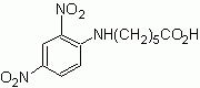 DNP-X acid (6-(2,4-Dinitrophenyl)aminohexanoic acid)