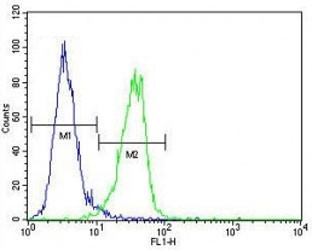 Anti-MeCP2