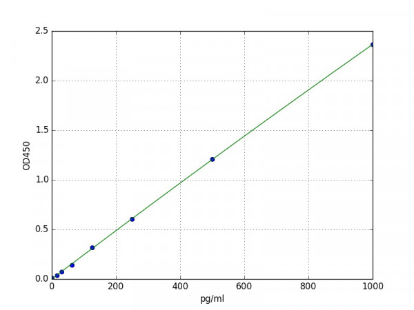 Human VEGF-B / Vascular Endothelial Cell Growth Factor B ELISA Kit