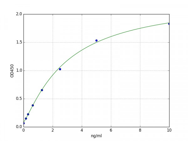 Human F13b / Factor XIII B Polypeptide ELISA Kit
