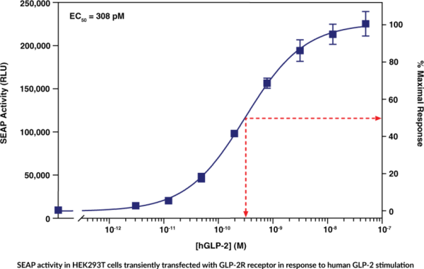GLP-2 Receptor (human) Reporter Assay Kit