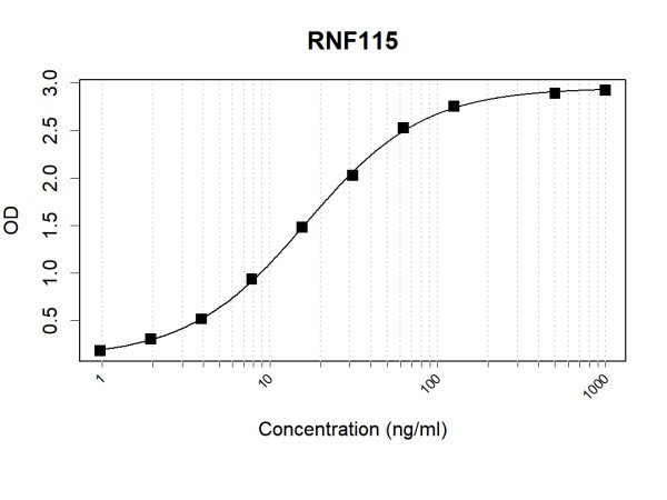 Anti-Human RNF115 Antibody Pair