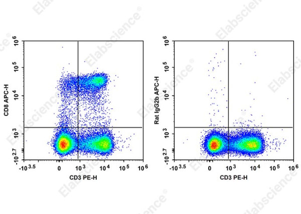 APC Anti-Mouse CD8 Antibody[YTS-169]