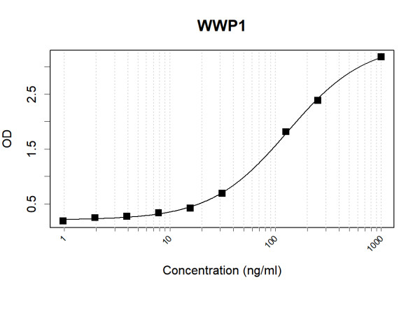 Anti-Human WWP1 Antibody Pair