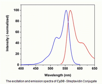 Cy3(R)-streptavidin conjugate