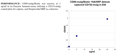 CD80 -muIg Fusion Protein, (human), Biotin conjugated