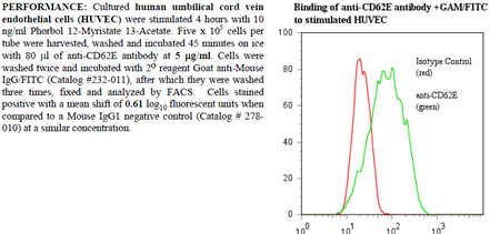 Anti-CD62E (human), clone HAE-1f, preservative free