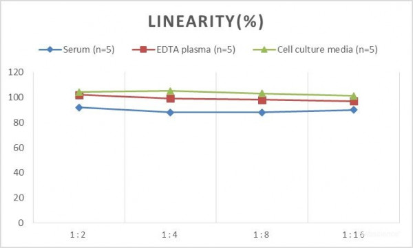 MS Mouse IGFBP-6 (Insulin-like Growth Factor Binding Protein 6) ELISA Kit