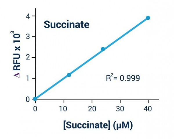 Succinate Assay Kit