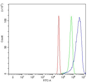Anti-MARS1 / Methionyl-tRNA synthetase / MetRS