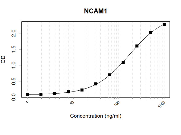 Anti-Human NCAM1 Antibody Pair