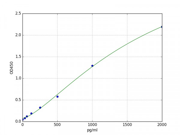 Human CCL17 / TARC ELISA Kit