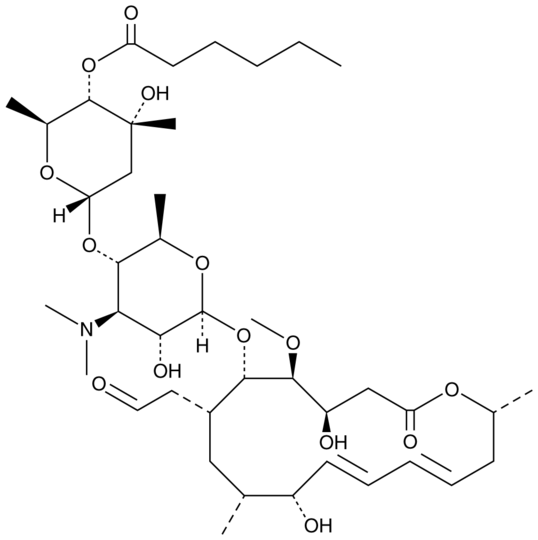 Leucomycin A13