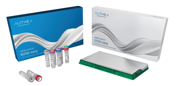 MERCURIUS(TM) Full-Length DRUG-seq kit (96 reactions)