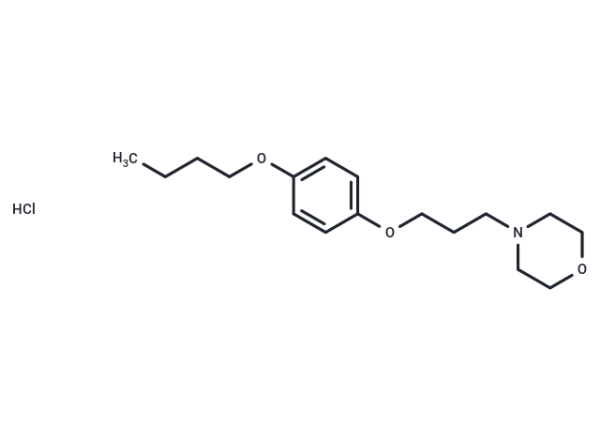 Pramocaine hydrochloride