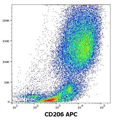 Anti-CD206 / MMR (APC), clone 15-2