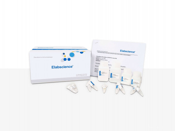 Malondialdehyde (MDA) Colorimetric Assay Kit (Cell Samples)