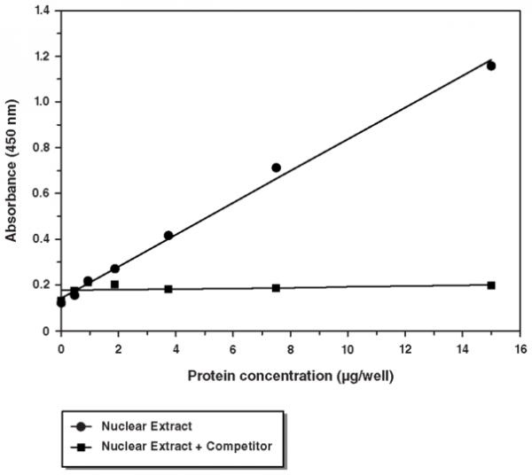 Nrf2 Transcription Factor Assay Kit