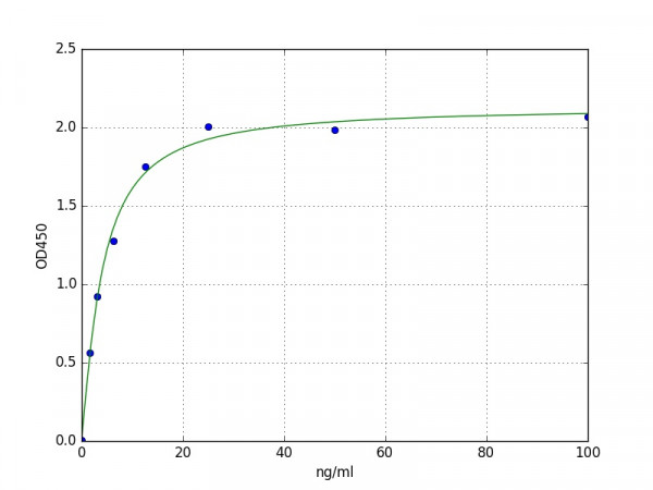 Human ABCC4 / MRP4 ELISA Kit