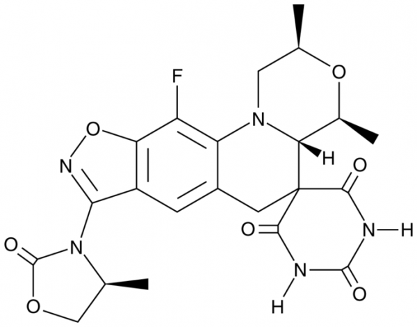 Zoliflodacin