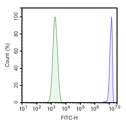 ZsGreen Knock-in TRAC Knock-out Jurkat Cell Line