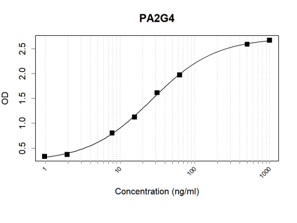 Anti-Human EBP1 Antibody Pair