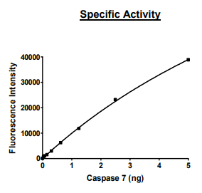 Caspase-7, human recombinant, C-terminal His-tag