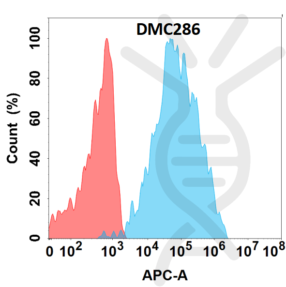 Anti-SLAMF5 antibody(DMC286), IgG1 Chimeric mAb